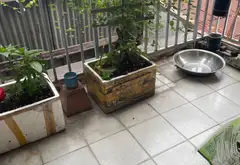 Bán nhà mặt phố trung tâm quận Tân Bình, diện tích 106.7m2, giá 15.5 tỷ... Bán nhà mặt phố tại Bảy Hiền, Hồ Chí Minh 07