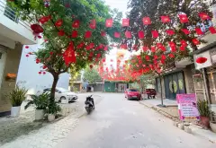 Bán đất 50m2 mặt tiền 4m khu đô thị Đô Nghĩa giá 12,5 tỷ... Bán đất tại Yên Nghĩa, Hà Nội 03