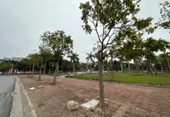 BÁN ĐẤT BÁT KHỐI 153M2- MT 5m- NGÕ THÔNG, Ô TÔ TRÁNH - 25.9 TỶ... Bán đất tại Long Biên, Hà Nội 05
