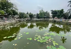 BÁN PHÂN LÔ LIỀN KỀ 50M 6 TẦNG THANG MÁY VỈA HÈ RỘNG 3 Ô TÔ TRÁNH - KINH DOANH... Bán nhà riêng tại Hà Đông, Hà Nội 08