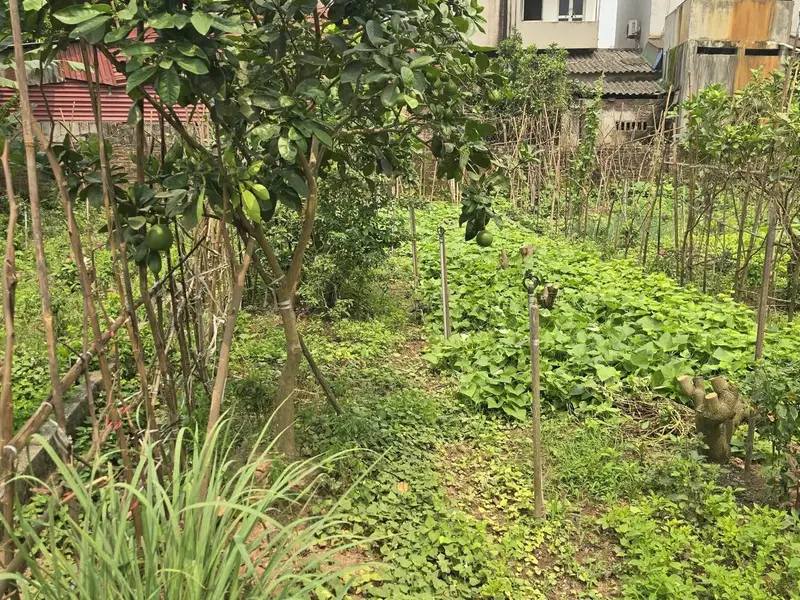Bán đất xã Đông Tảo, Khoái Châu, diện tích 77.6m2, ô tô 7 chỗ đi lại thuận tiện... Bán đất tại Triệu Việt Vương, Hưng Yên 01