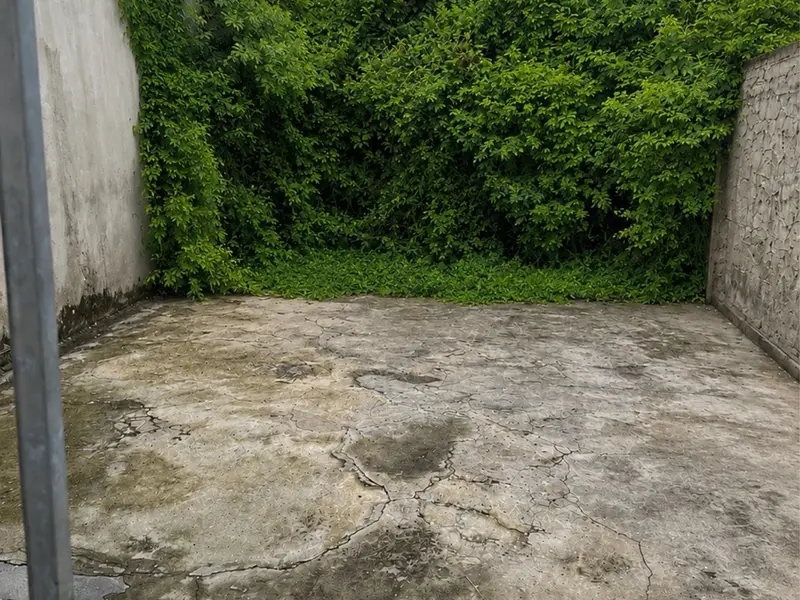 Bán đất 59m2 gần Huỳnh Tấn Phát Nhà Bè, hướng Tây Nam, pháp lý cơ sở... Bán đất tại Nhà Bè, Hồ Chí Minh 01