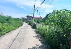 Đất Hoa Hậu Sóc Sơn - Rộng Rãi, Mặt Tiền Khủng, Vị Trí Đắc Địa... Bán đất tại Kim Anh, Hà Nội 04