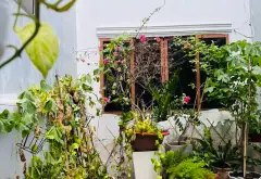 HẠ SÂU 2 TỶ CÒN 11,5 TỶ
154M2 - P. TÂN HƯNG Q 7 - GẦN 100M TỚI TRẦN XUÂN SOẠN... Bán nhà riêng tại Tân Hưng, Hồ Chí Minh 02