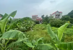 Đất đẹp khu Xích Đằng- Lam Sơn... Bán đất tại Sơn Nam, Hưng Yên 08