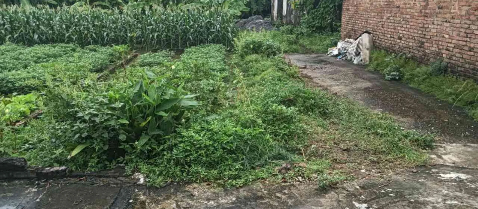 Bán đất lô góc 60.5m2 khu dân cư đông tại xã/phường, pháp lý chuẩn sổ đỏ... Bán đất tại Sóc Sơn, Hà Nội 01