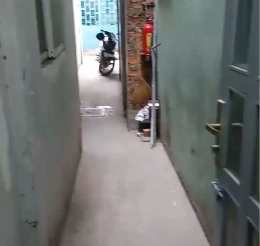 Cơ hội hiếm có mua nhà riêng giá tốt gần Nhiêu Lộc, TPHCM... Bán nhà riêng tại Nhiêu Lộc, Hồ Chí Minh 01