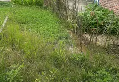 Đất nền phân lô vị trí đắc địa gần khu công nghiệp Tràng Duệ, xã An Trường... Bán đất tại An Trường, Hải Phòng 07