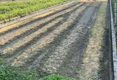Đất đẹp hiền lương Đào viên Bắc Ninh 2,1tỷ... Bán đất tại Đào Viên, Bắc Ninh 13