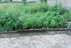 Đất thổ cư 80m² ngay thôn Chùa Nấu, Sóc Sơn giá tốt... Bán đất tại Nội Bài, Hà Nội 03