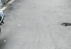 Căn hộ 2 phòng ngủ cùng tiện nghi hiện đại tại An Nhơn... Bán căn hộ chung cư tại An Nhơn, Hồ Chí Minh 06