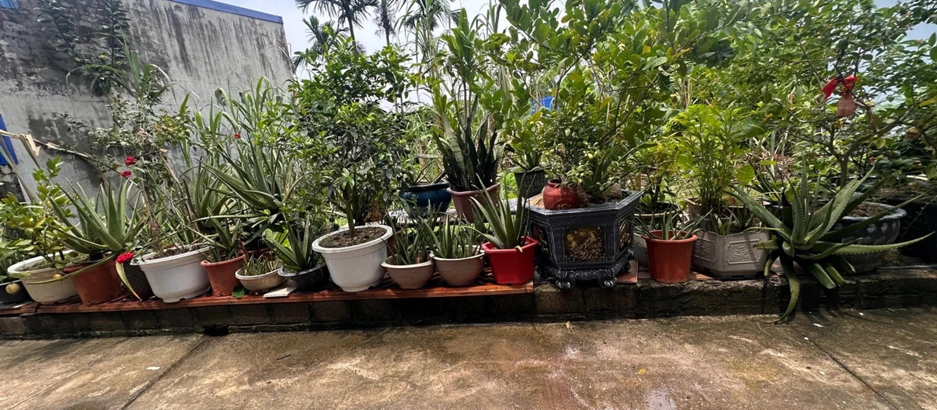 Đất vàng trung tâm Kiến An tiềm năng đầu tư đẳng cấp... Bán đất tại Phù Liễn, Hải Phòng 01