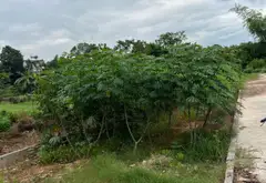 Đất GIÁ MỀM - thôn Ngọc Cụ xã Hoàng Vân tỉnh Bắc Giang cũ nay thuộc tỉnh Bắc Ninh.... Bán đất tại Từ Sơn, Bắc Ninh 06