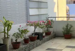 Bán nhà mặt phố 4 tầng gần Thoại Ngọc Hầu, diện tích 113m2... Bán nhà mặt phố tại Phú Thọ Hòa, Hồ Chí Minh 09