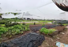 Bán nhanh lô đất rộng lớn tại Hóc Môn, vị trí vàng chỉ cách chợ 300m... Bán đất tại Đông Thạnh, Hồ Chí Minh 04
