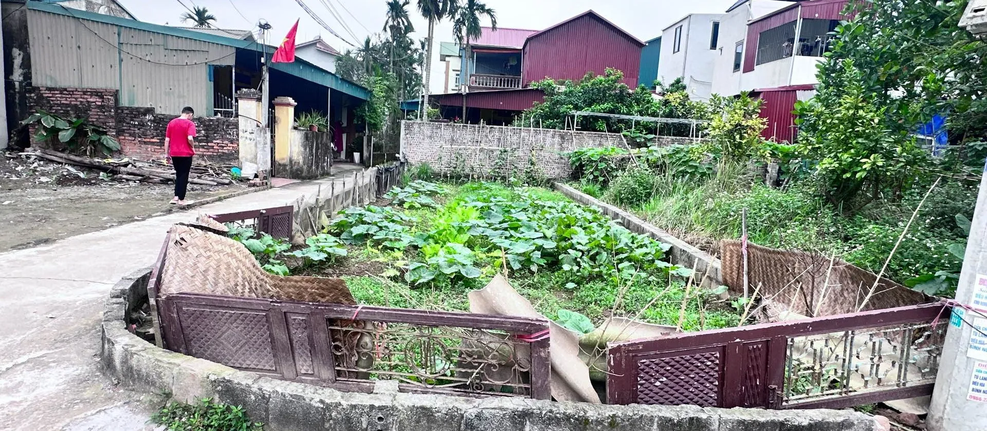 Đất Văn Giang mặt tiền rộng - Cơ hội đầu tư siêu tiềm năng... Bán đất tại Văn Giang, Hưng Yên 01