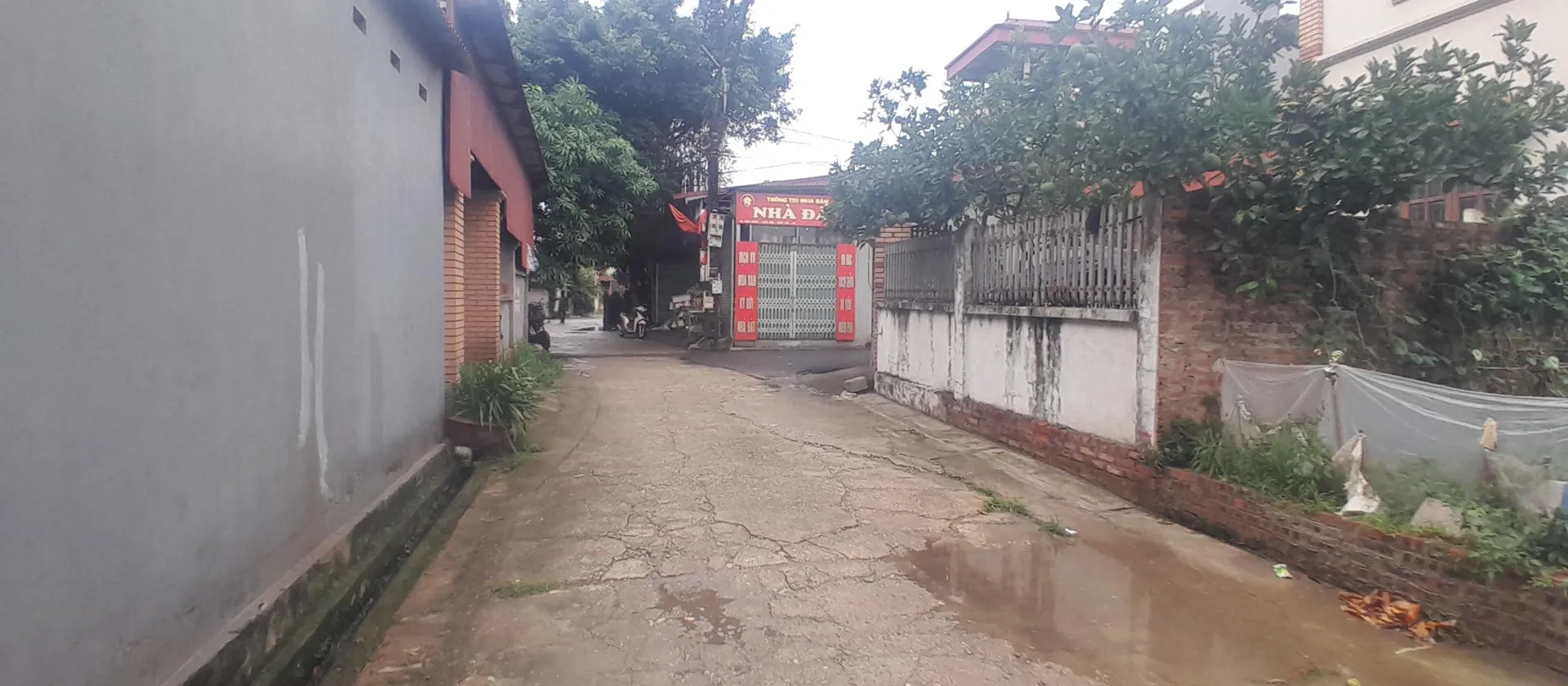 Bán đất chính chủ mặt tiền 5m xã Đình Trung, trục chính kinh doanh sầm uất... Bán owner_side tại Phúc Thịnh, Hà Nội 01