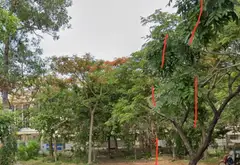 Bán nhà mặt phố 1 tầng, diện tích 253m2 tại Bình Lợi... Bán nhà mặt phố tại Bình Lợi, Hồ Chí Minh 03