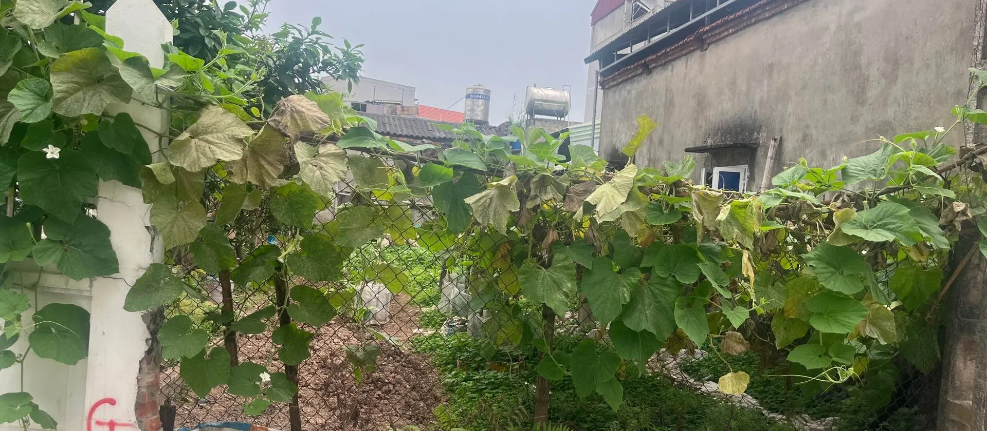 Đất nằm ở mặt ngõ , gần khu dự án 3,15 tỷ... Bán đất tại Yên Mỹ, Hưng Yên 01
