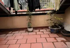 🔥 NHÀ ĐẸP LÀNG VIỆT KIỀU – DIỆN TÍCH LỚN 76M² – TRUNG TÂM, ĐÔNG ĐÚC, SẦM UẤT... Bán biệt thự, liền kề tại Hà Đông, Hà Nội 09
