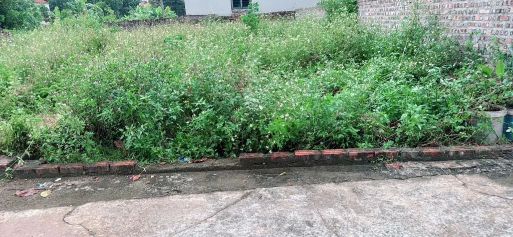 Đất thổ cư 80m² ngay thôn Chùa Nấu, Sóc Sơn giá tốt... Bán đất tại Nội Bài, Hà Nội 01