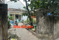 Bán đất 120m2 tại xã Quang Minh, Hà Nội giá 4,2 tỷ đồng... Bán đất tại Quang Minh, Hà Nội 07