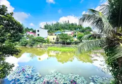 Bán nhà riêng 1 tầng 2 ngủ tại phường Hà Lầm, Quảng Ninh, view ao sen thoáng mát... Bán nhà riêng tại Hà Lầm, Quảng Ninh 01