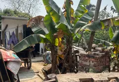 Cơ hội sở hữu lô đất vuông vắn tại trung tâm Thôn 1 - Giá tốt khó bỏ qua... Bán owner_side tại Nam Phù, Hà Nội 04
