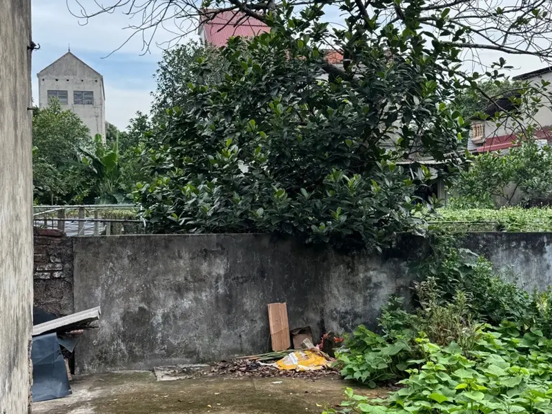 Đất Vàng - Hồng Vân- Ngõ Thẳng Trục, Cách Đường Chính Chỉ 50m... Bán đất tại Chương Dương, Hà Nội 01