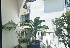 Bán Nhà 5 Tầng BTCT Trung Tâm Quận 8 giáp Quận 1 - Hẻm Xe Hơi 5m Thông - 3PN King - Nhỉnh 7 Tỷ... Bán nhà riêng tại Chánh Hưng, Hồ Chí Minh 07