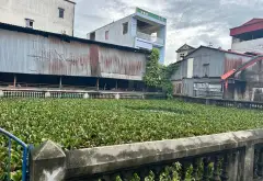 Bán đất mặt tiền 4.5m tại Phù Khê, Từ Sơn, diện tích 41.6m2 giá 1.55 tỷ... Bán đất tại Phù Khê, Bắc Ninh 05