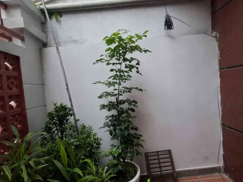 - NHÀ 5 TẦNG GÒ VẤP THỐNG NHẤT - 82M2 (5,3x19) 5PN,6WC - 7,3 TỶ - PHÙ HỢP CHO GIA ĐÌNH ĐÔNG NGƯỜI... Bán nhà riêng tại Thông Tây Hội, Hồ Chí Minh 01