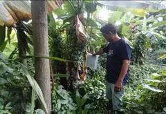 Đất rộng đẹp ngay khu dân cư phát triển... Bán đất tại Tam Bình, Hồ Chí Minh 13