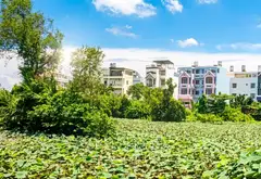 BÁN BIỆT THỰ 164M² MẶT TIỀN PHẠM THẾ HIỂN Q.8 P.BÌNH ĐÔNG, 8X20, VIEW HỒ SEN, NHỈNH 15 TỶ... Bán nhà mặt phố tại Bình Đông, Hồ Chí Minh 03