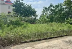 Đất Vàng Thôn Gò Gạo Gần Hồ & Sân Golf... Bán đất tại Kim Anh, Hà Nội 05