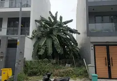 Bán đất mặt tiền khu Sala Quận 2, diện tích 108m2, pháp lý cơ sở... Bán đất tại Cát Lái, Hồ Chí Minh 03