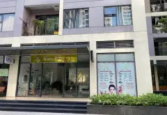 Shophouse siêu hot tại Vinhomes Nguyễn Xiển - Thu nhập 30 triệu/tháng... Bán Shophouse tại Long Bình, Hồ Chí Minh 05