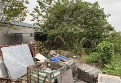 Bán đất xã An Khánh Hà Nội 244m2 mặt tiền rộng, phù hợp xây kho xưởng... Bán đất tại An Khánh, Hà Nội 05