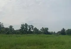 Mảnh Đất Vàng Bình Lợi Mặt Tiền Rộng 49m, Đầu Tư Sinh Lời... Bán nhà mặt phố tại Bình Lợi, Hồ Chí Minh 17