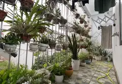 CHỦ ĐANG GIẢM MẠNH - 150/170M TẶNG NHÀ 2T - CHỈ CÒN 6.X TỶ ( TL CHO KHÁCH THIỆN CHÍ )... Bán nhà riêng tại Tiến Thắng, Hà Nội 14