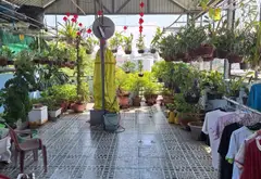 Cơ hội sở hữu nhà mặt tiền kinh doanh hiếm có tại quận tân phú, giá chỉ 7.6 tỷ... Bán nhà riêng tại Bình Hưng Hòa, Hồ Chí Minh 09