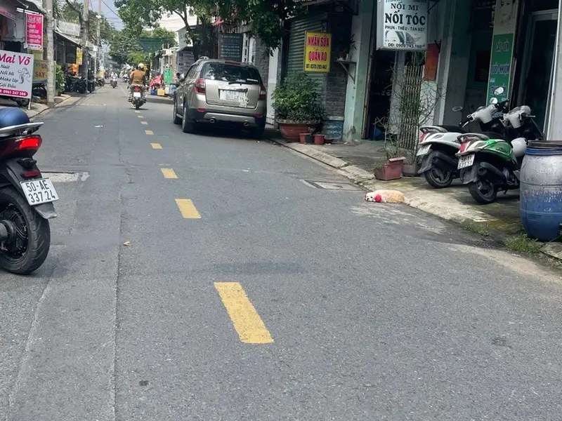 Nhà mặt tiền phường Tân Thới Hiệp - vị trí kinh doanh đắc địa... Bán nhà mặt phố tại Tân Thới Hiệp, Hồ Chí Minh 01