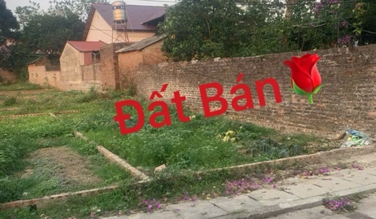 Cơ hội sở hữu đất vàng tại Sóc Sơn - Giá tốt, vị trí đắc địa hiếm có... Bán đất tại Nội Bài, Hà Nội 01