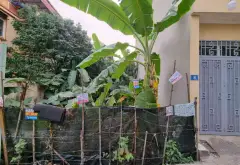 Đất đẹp Yên Hòa - Ngõ rộng ô tô vào thoải mái... Bán đất tại Yên Nghĩa, Hà Nội 05