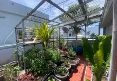 Bán nhà mặt phố An Thượng 14 - 51.6m² - Ngũ Hành Sơn, Đà Nẵng - 13.5 tỷ... Bán nhà mặt phố tại Ngũ Hành Sơn, Đà Nẵng 01