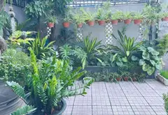 Bán nhà mặt phố 3 tầng tại phường Phước Long, Hồ Chí Minh, diện tích 141m2, pháp lý rõ ràng... Bán nhà mặt phố tại Phước Long, Hồ Chí Minh 05