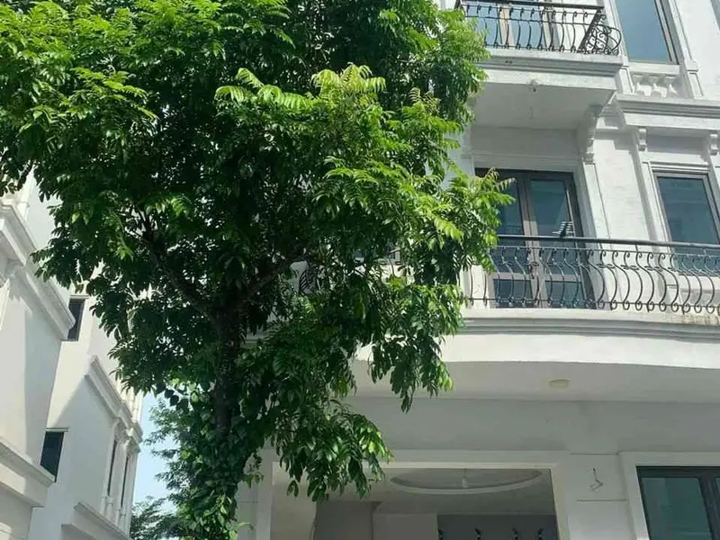 Biệt thự 5 tầng trung tâm Kiến Hưng giá hấp dẫn... Bán biệt thự, liền kề tại Kiến Hưng, Hà Nội 01