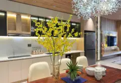 💥 SIÊU PHẨM NHÀ 3 TẦNG MẶT TIỀN LÊ THIỆT – FULL NỘI THẤT – GẦN BIỂN NGUYỄN TẤT THÀNH.... Bán nhà mặt phố tại Hòa Khánh, Đà Nẵng 04