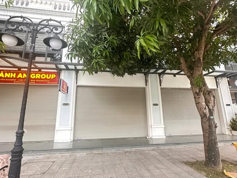 Biệt Thự Shophouse Đắc Địa gần TTTM Vinhomes Gia Lâm, dòng tiền tốt... Bán nhà mặt phố tại Gia Lâm, Hà Nội 01