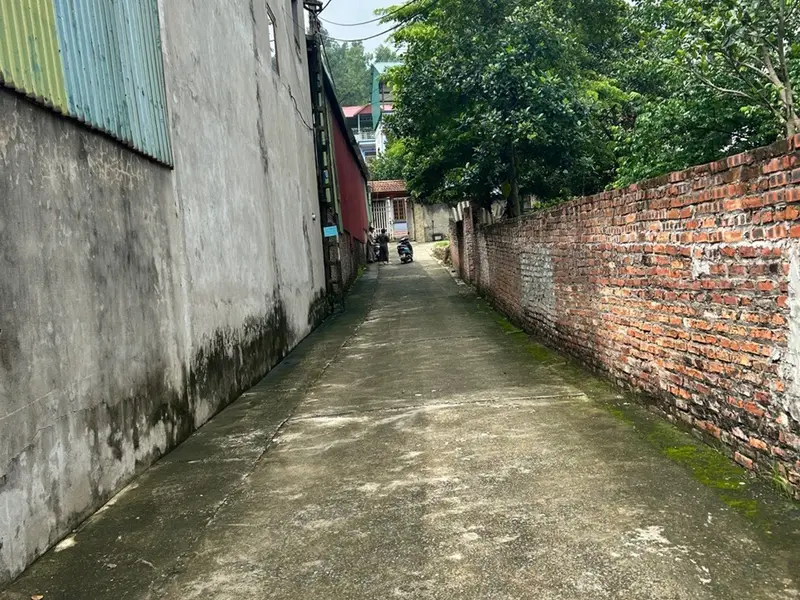 Cơ hội hiếm có sở hữu đất mặt tiền ô tô vào ngay tại Phật Tích, Bắc Ninh... Bán đất tại Phật Tích, Bắc Ninh 01